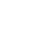 Magneti_Marelli